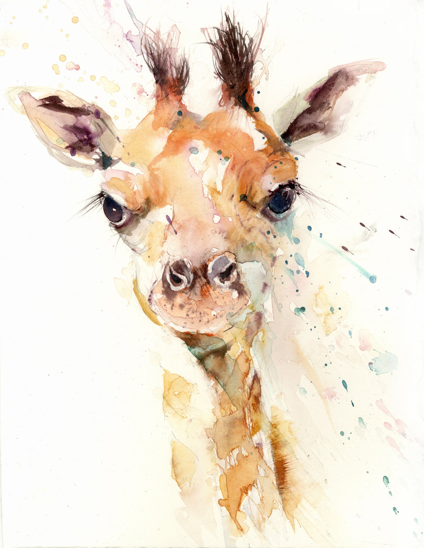 Cute baby giraffe limited edition art print - Jen Buckley Art limited edition animal art prints