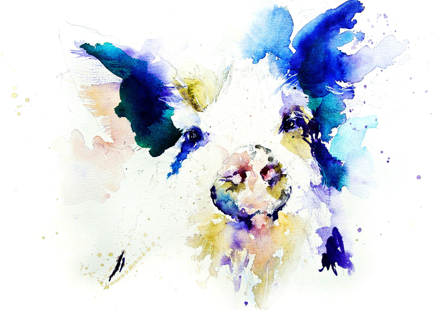 JEN BUCKLEY ART signed fine art PRINT of my original HAIRY PIG watercolour A4 - Jen Buckley Art limited edition animal art prints