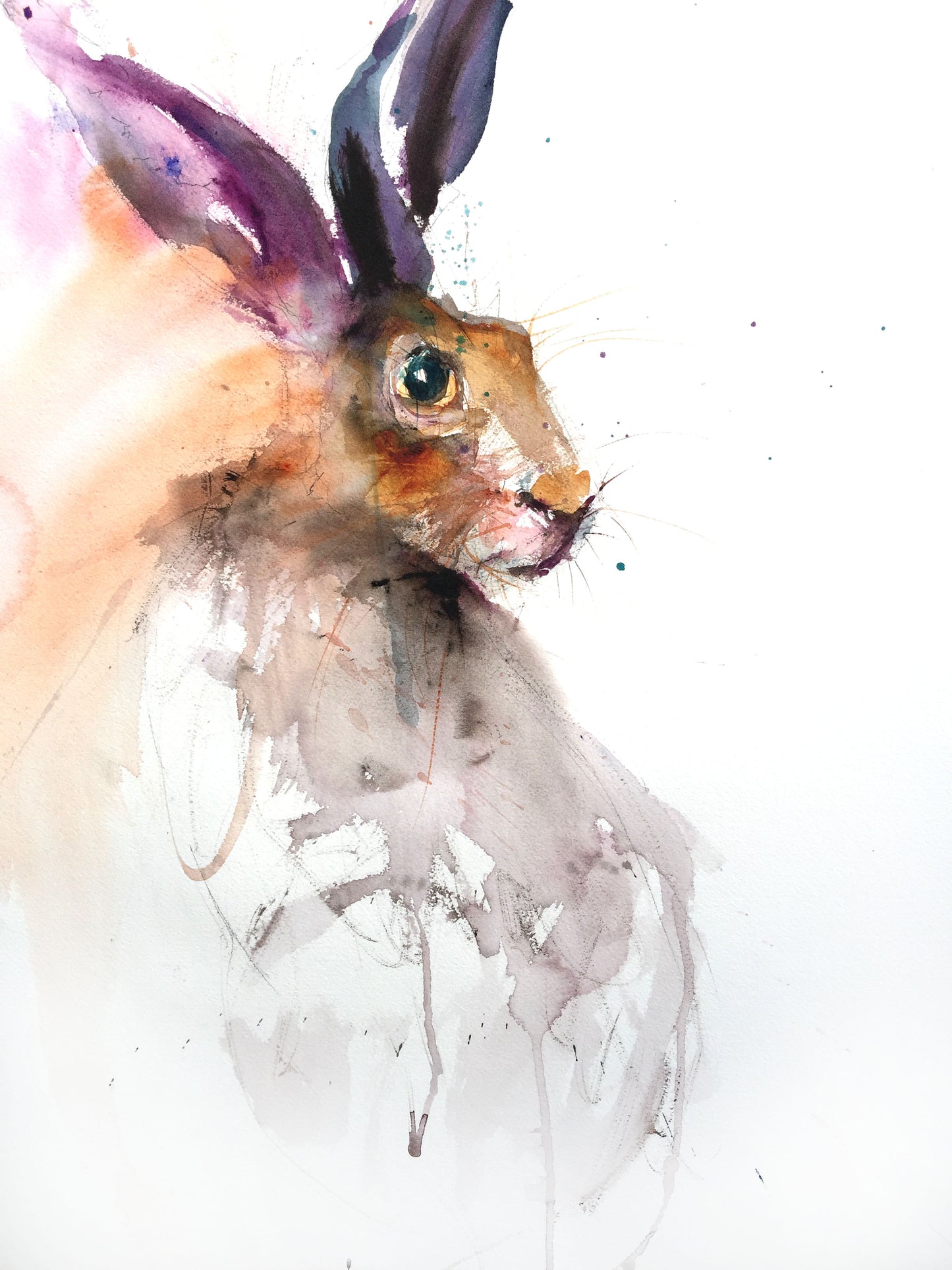Limited edition hare print "Eva" - Jen Buckley Art limited edition animal art prints