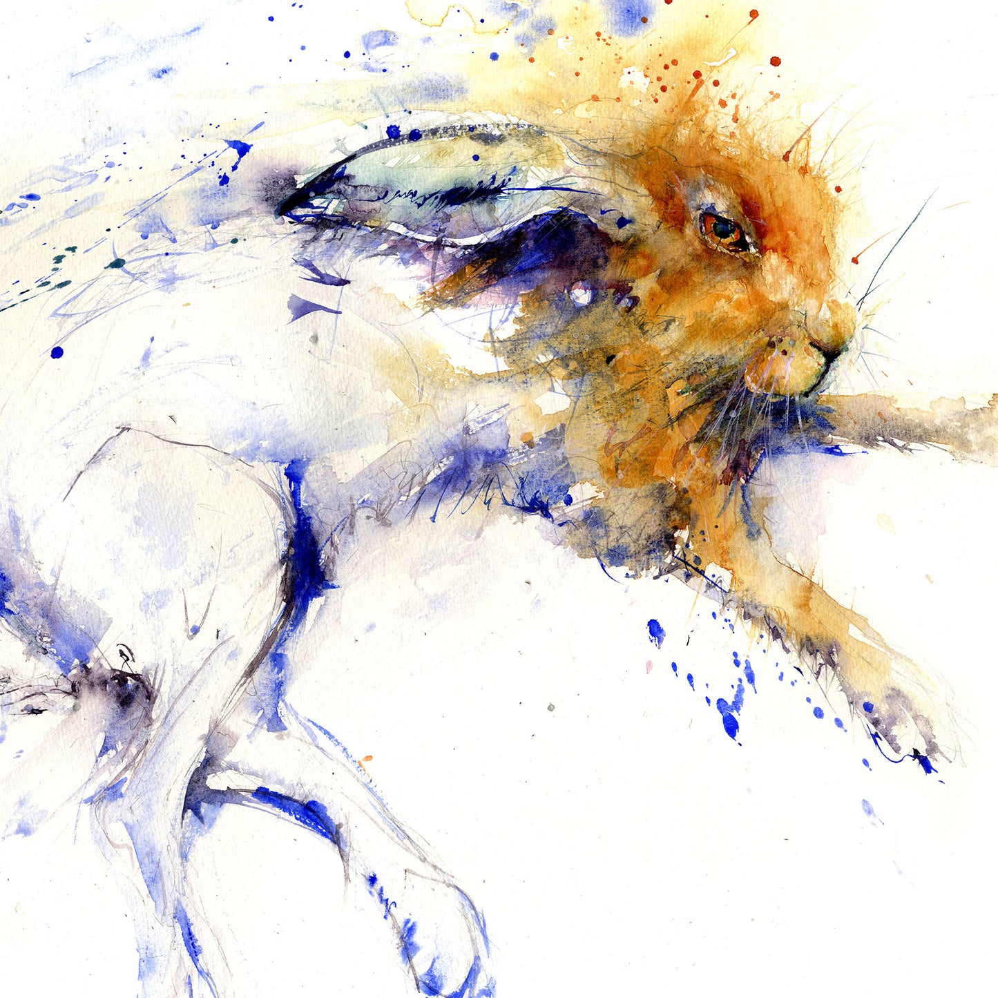 Limited edition lounging hare print - Jen Buckley Art limited edition animal art prints