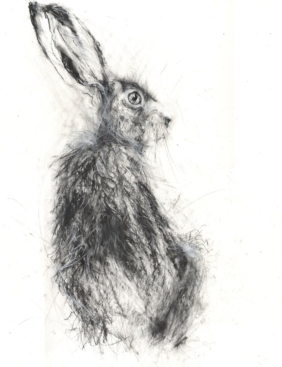 Limited edition hare print "Edward" - Jen Buckley Art limited edition animal art prints