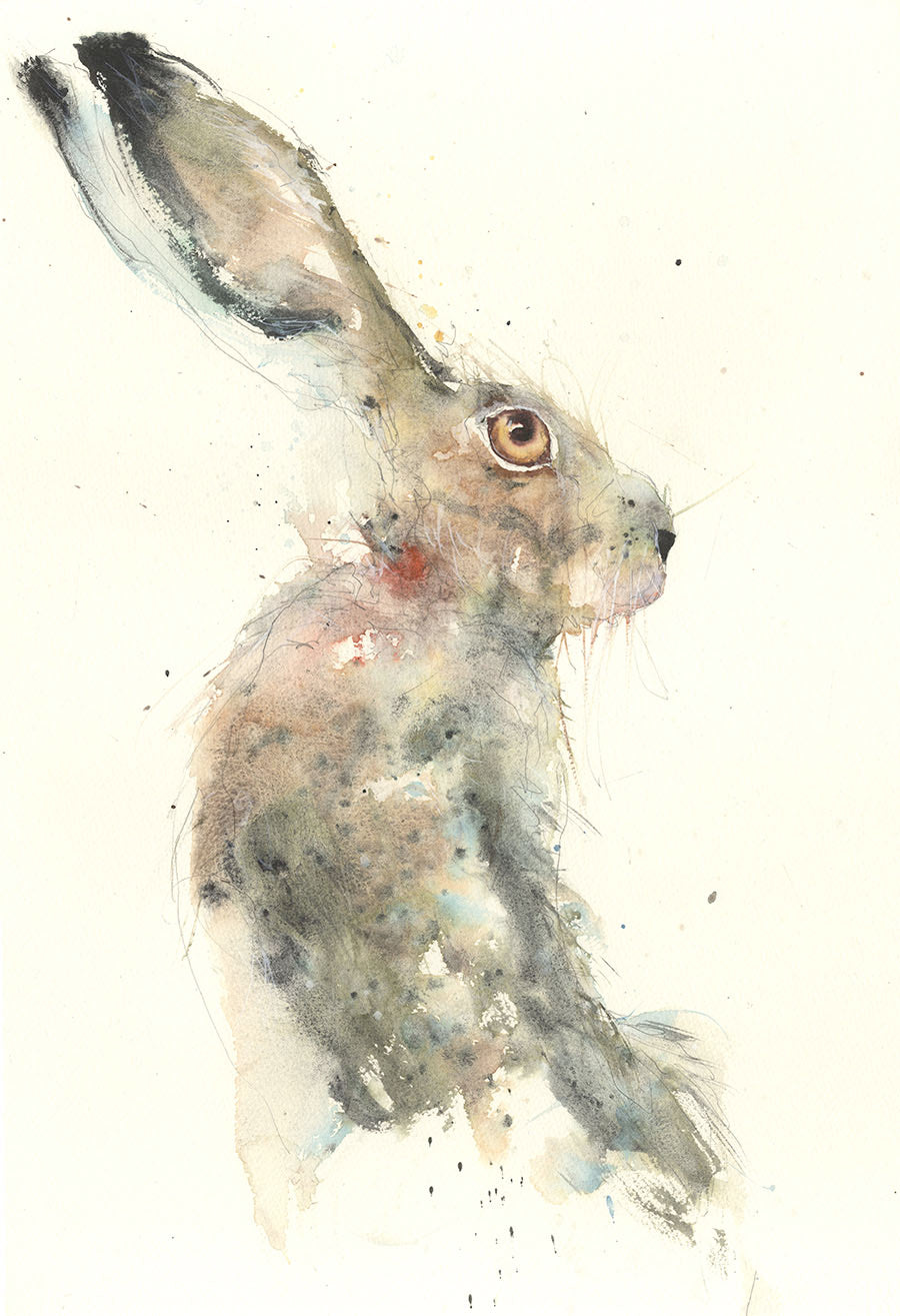 Original sitting hare watercolour painting "George" - Jen Buckley Art limited edition animal art prints