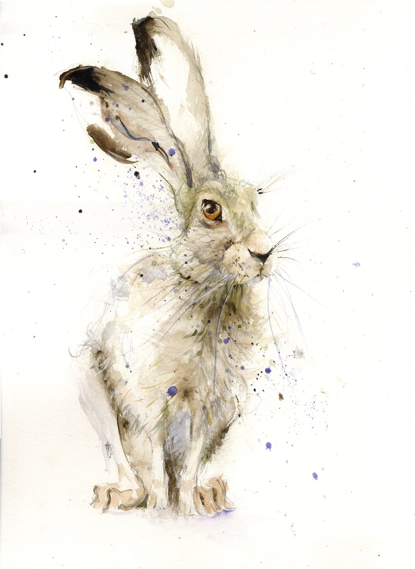 Limited edition hare print "Harry" - Jen Buckley Art limited edition animal art prints