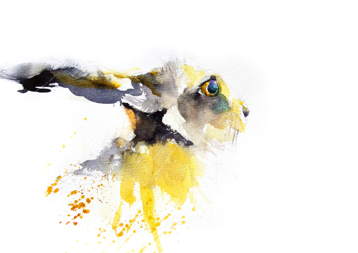 JEN BUCKLEY ART signed PRINT of my original little HARE watercolour - Jen Buckley Art limited edition animal art prints