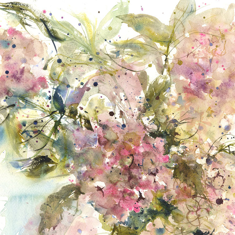 Original watercolour painting "hydrangeas" - Jen Buckley Art limited edition animal art prints