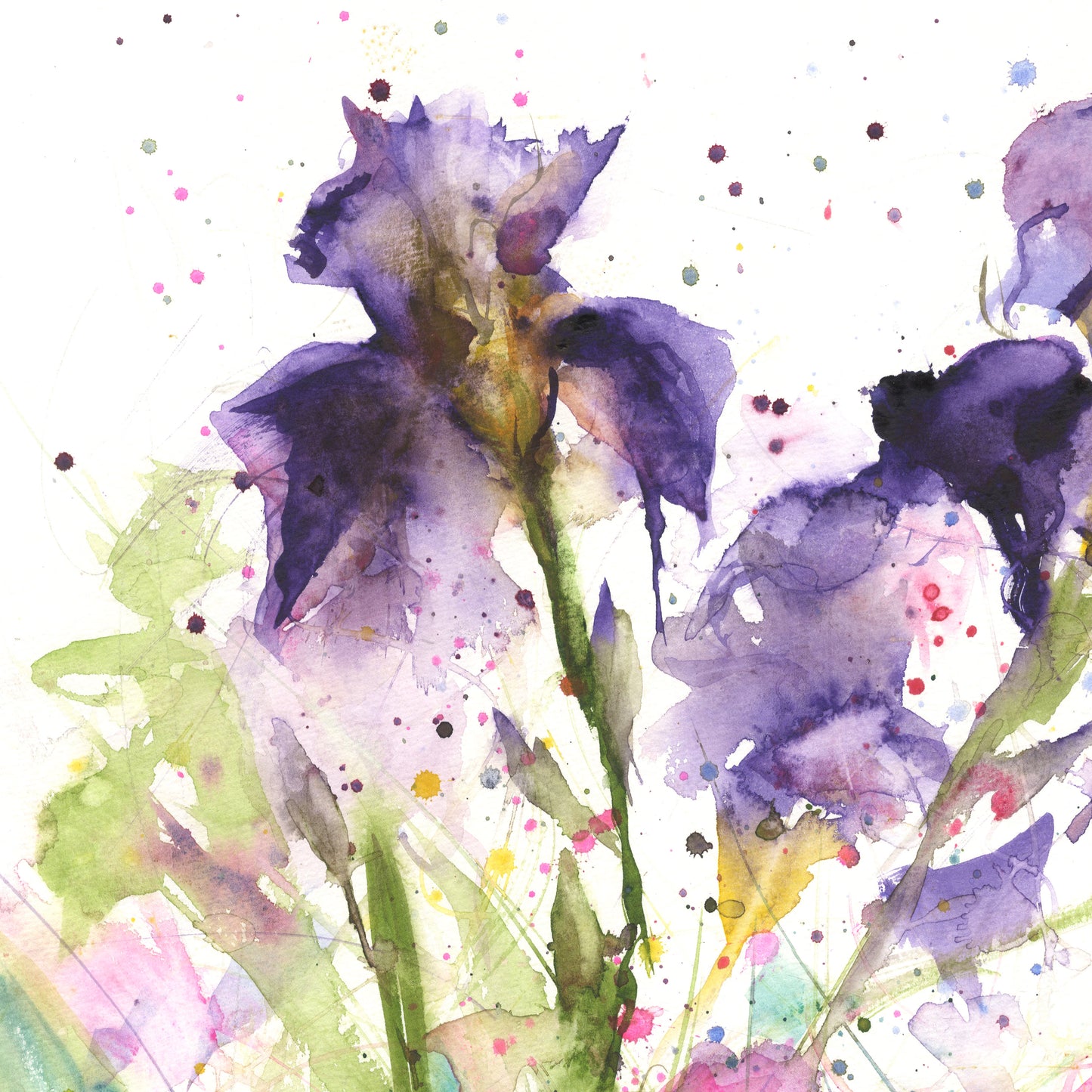 Art print from original watercolour painting "Flag iris" - Jen Buckley Art limited edition animal art prints