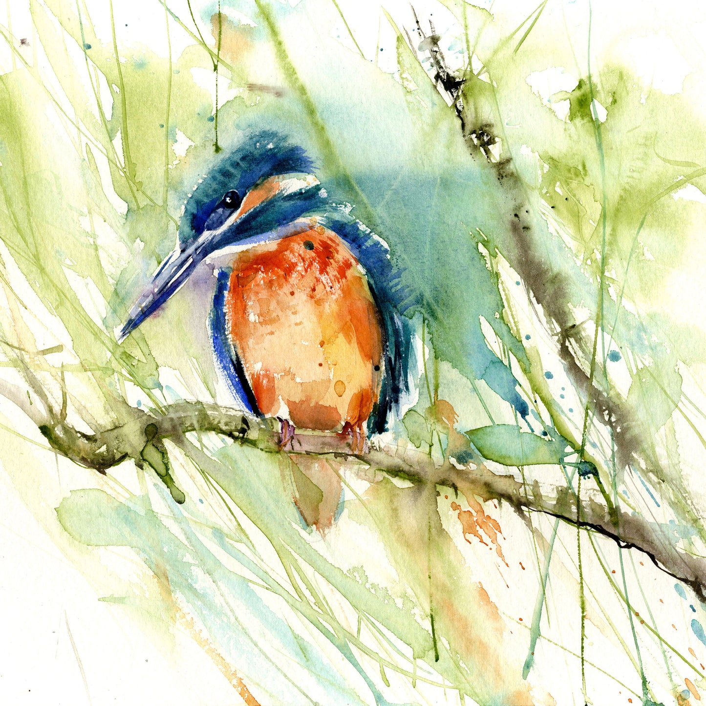Kingfisher limited edition print - Jen Buckley Art limited edition animal art prints