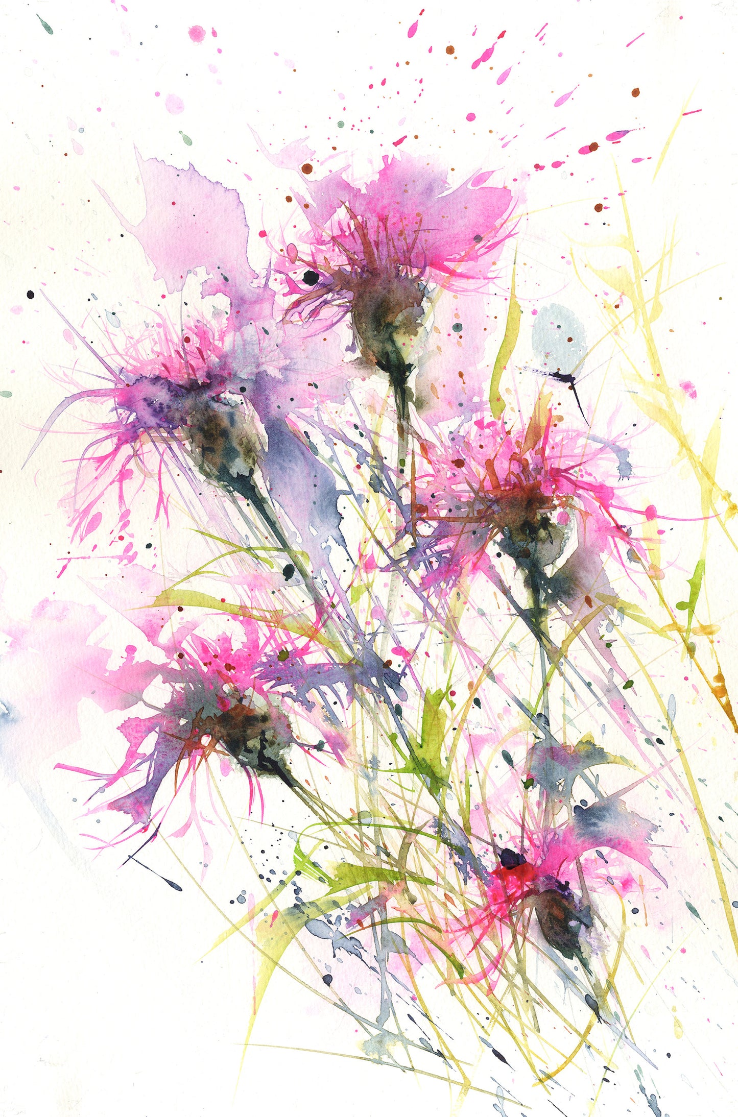 Limited edition print Knapweeds - Jen Buckley Art limited edition animal art prints