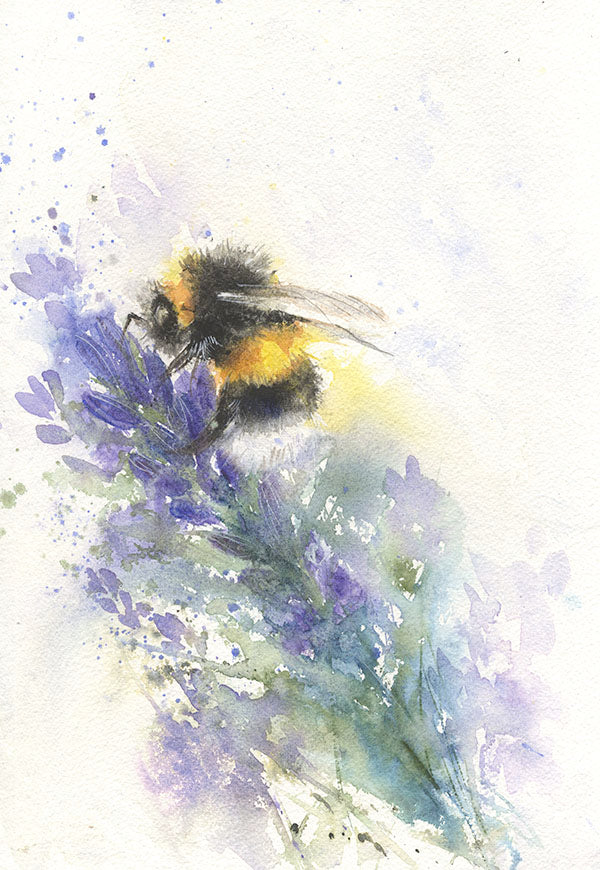 Original watercolour painting "bee on lavender" - Jen Buckley Art limited edition animal art prints