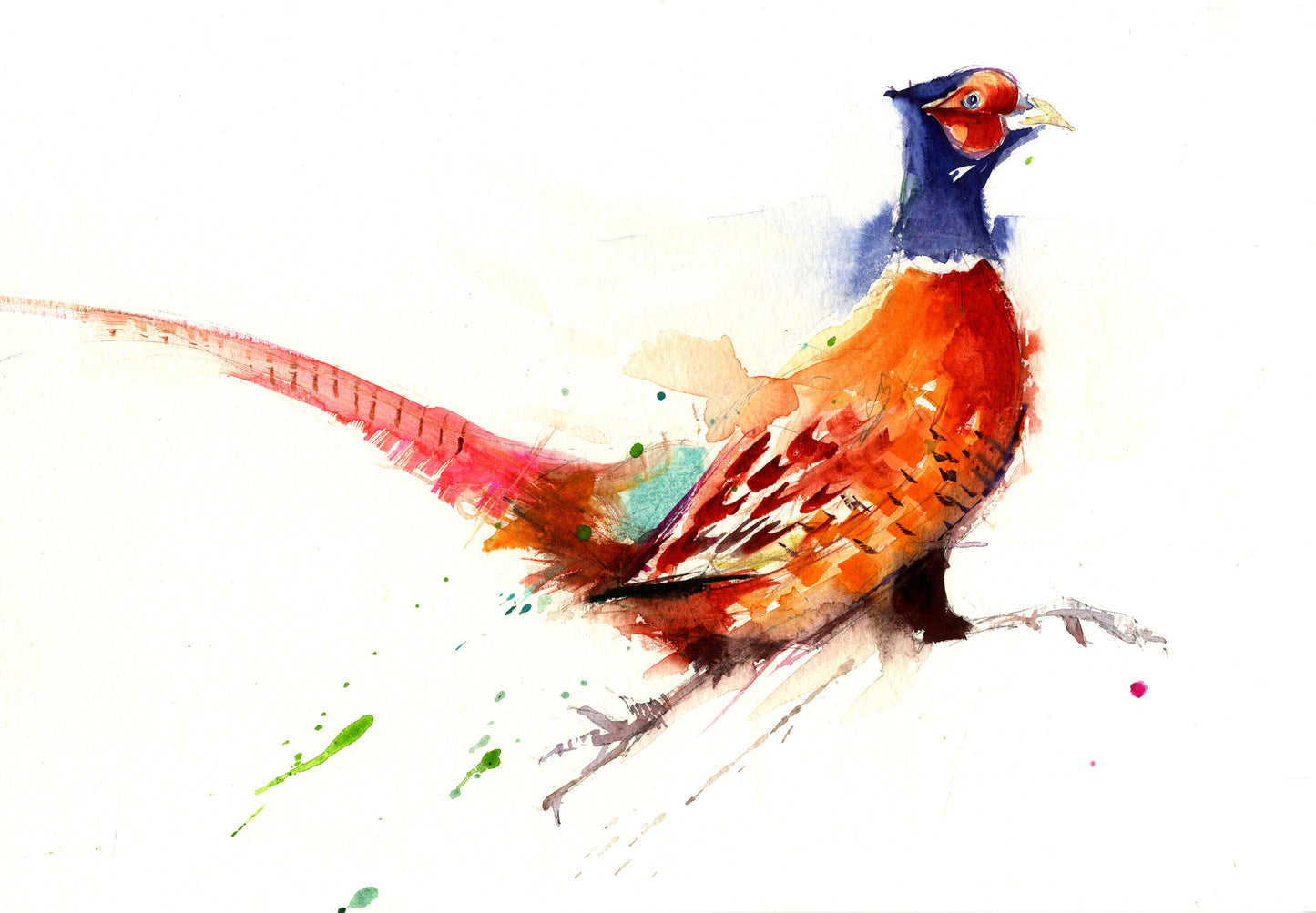 jen buckley running pheasant print