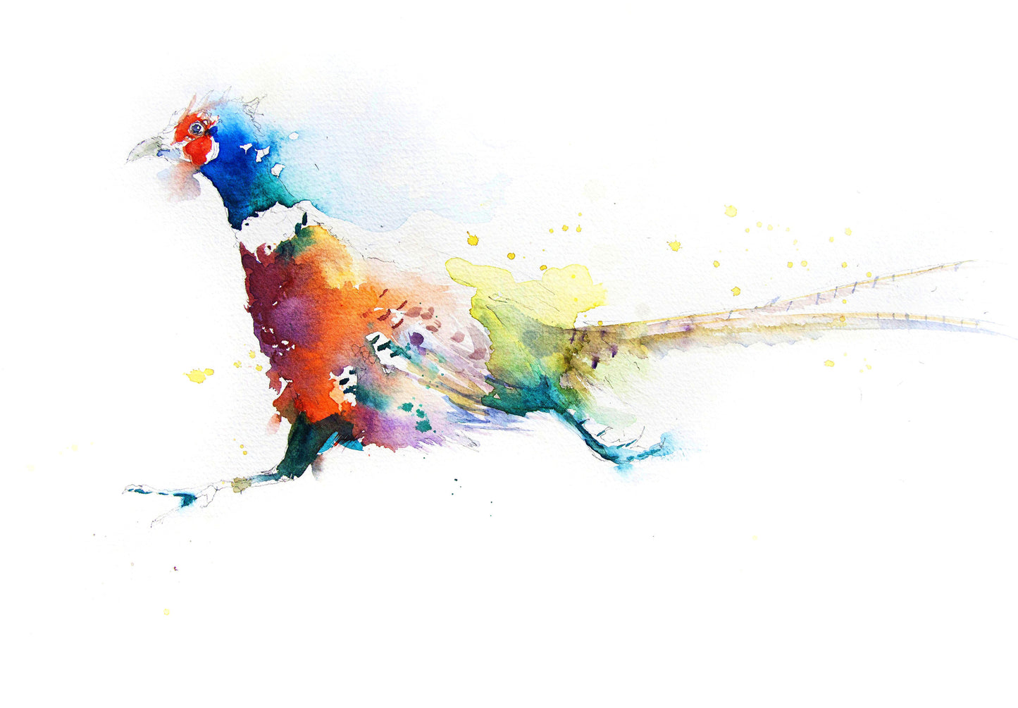 JEN BUCKLEY ART signed PRINT of my original PHEASANT watercolour - Jen Buckley Art limited edition animal art prints