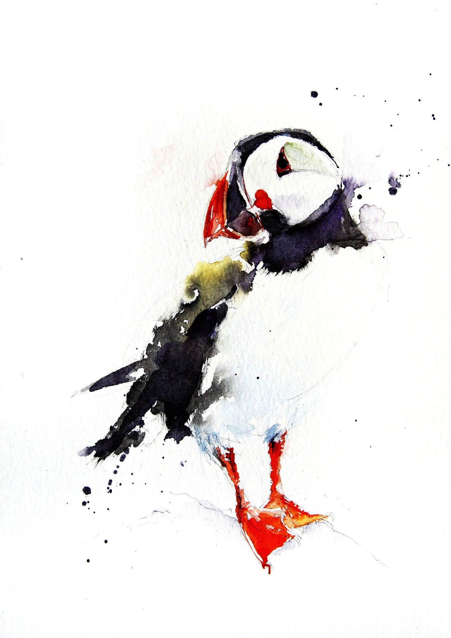 JEN BUCKLEY signed PRINT of original PUFFIN watercolour - Jen Buckley Art limited edition animal art prints
