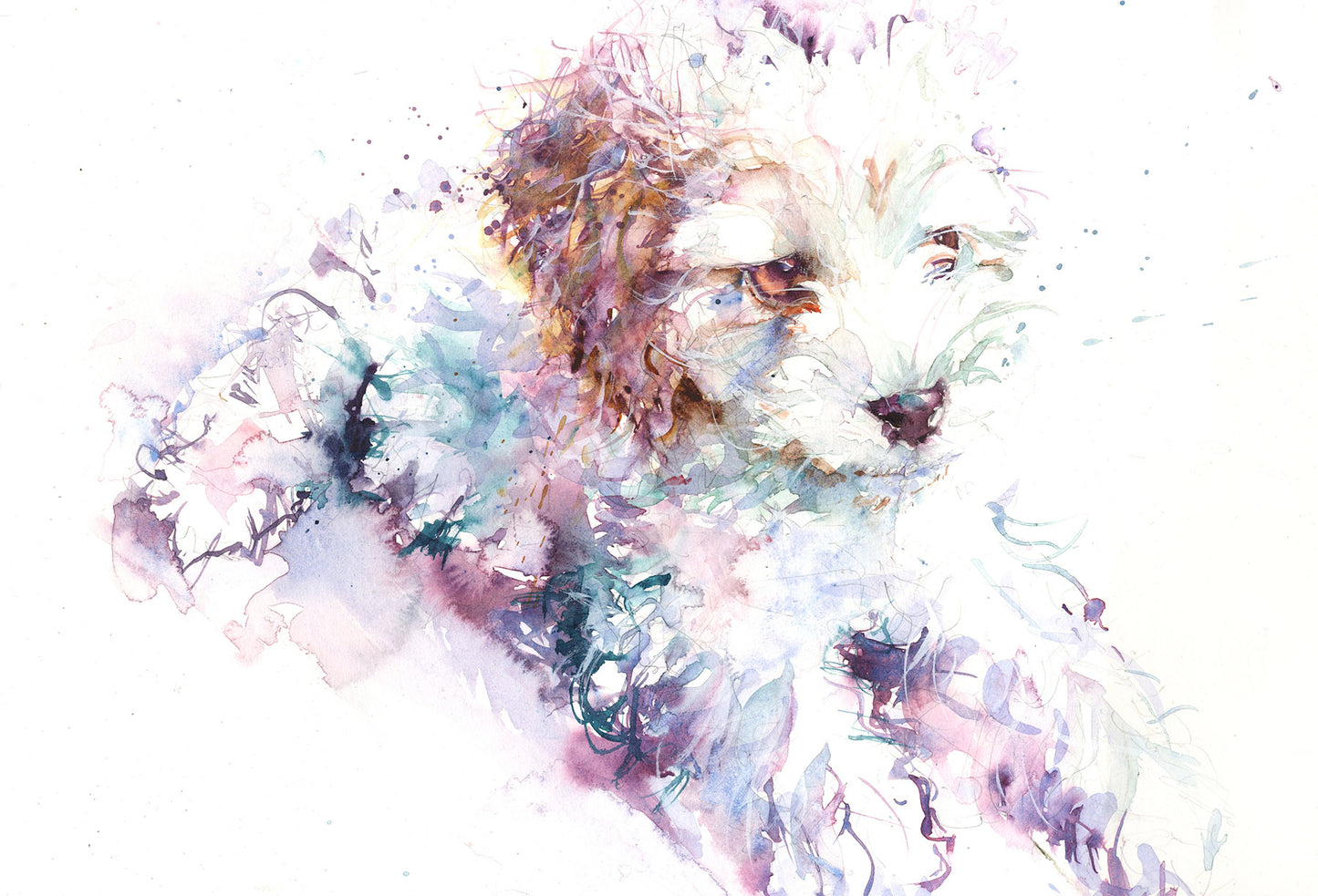 Original watercolour painting "bichon frise puppy" - Jen Buckley Art limited edition animal art prints