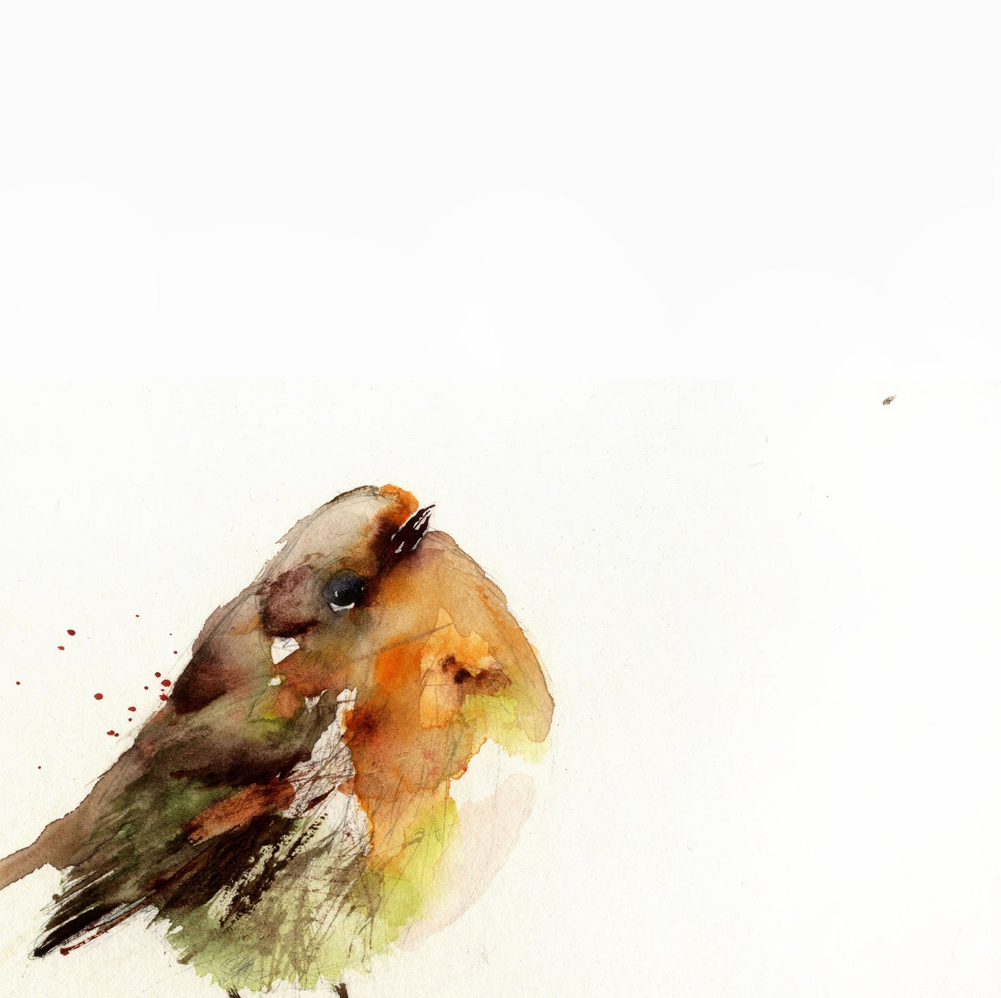 cute red robin wildlife bird print