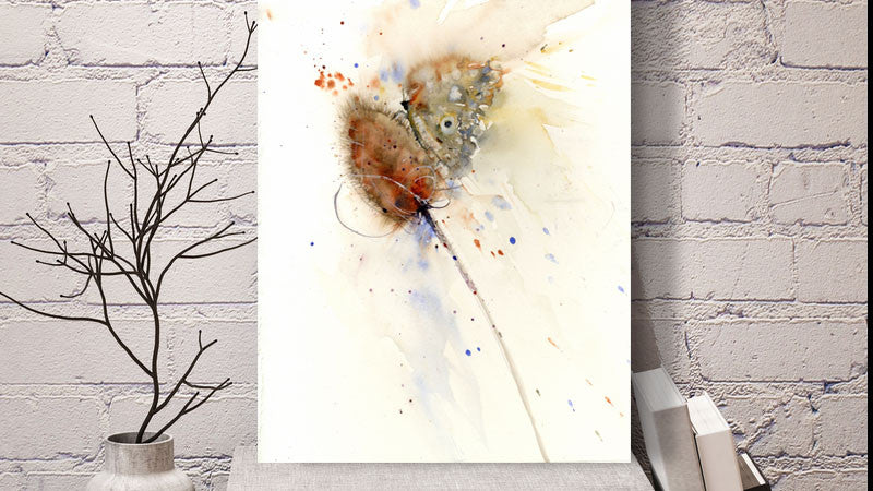 butterfly on a teasle print by jen buckley