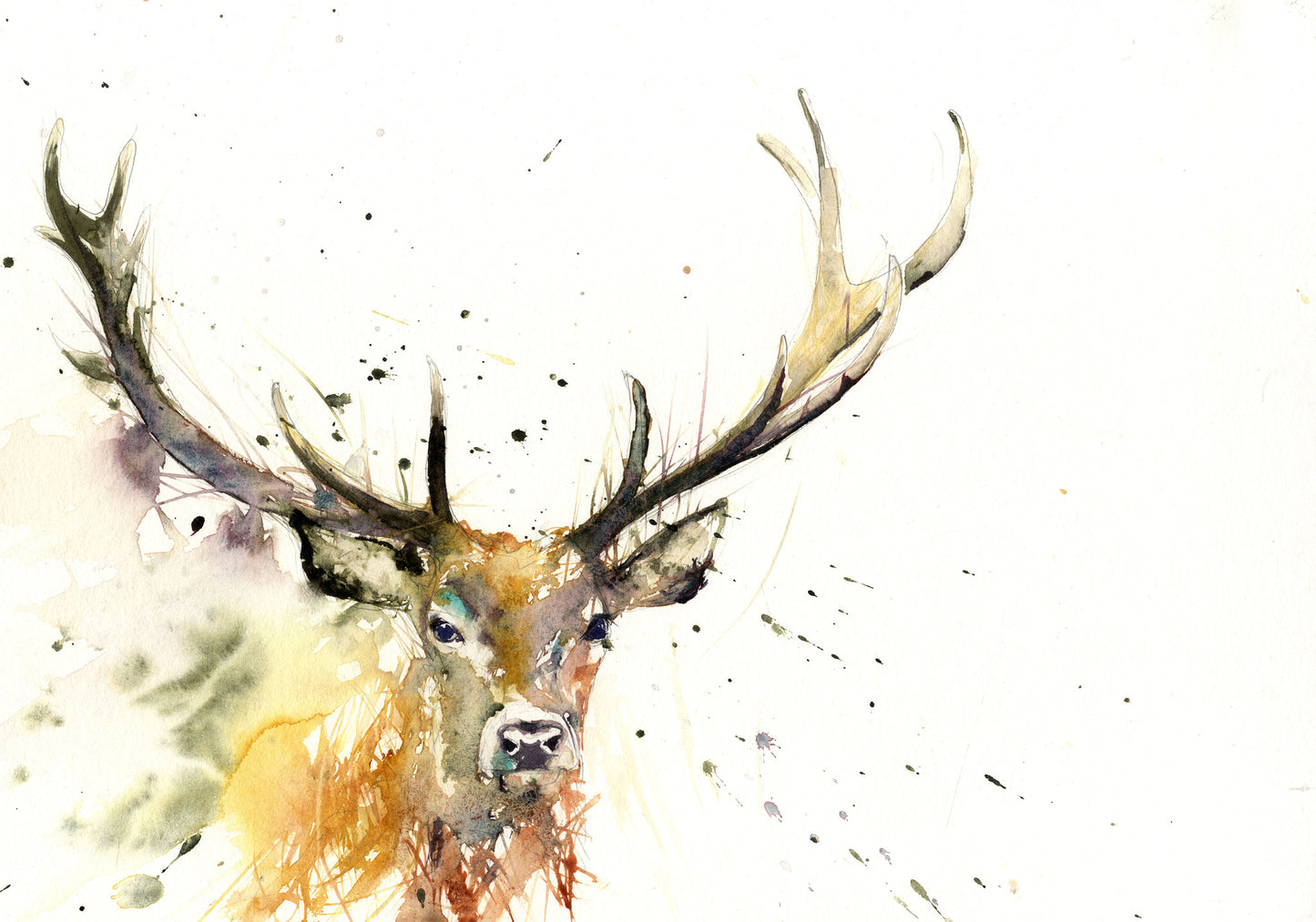 signed LIMITED EDITON PRINT 'Stag' - Jen Buckley Art limited edition animal art prints