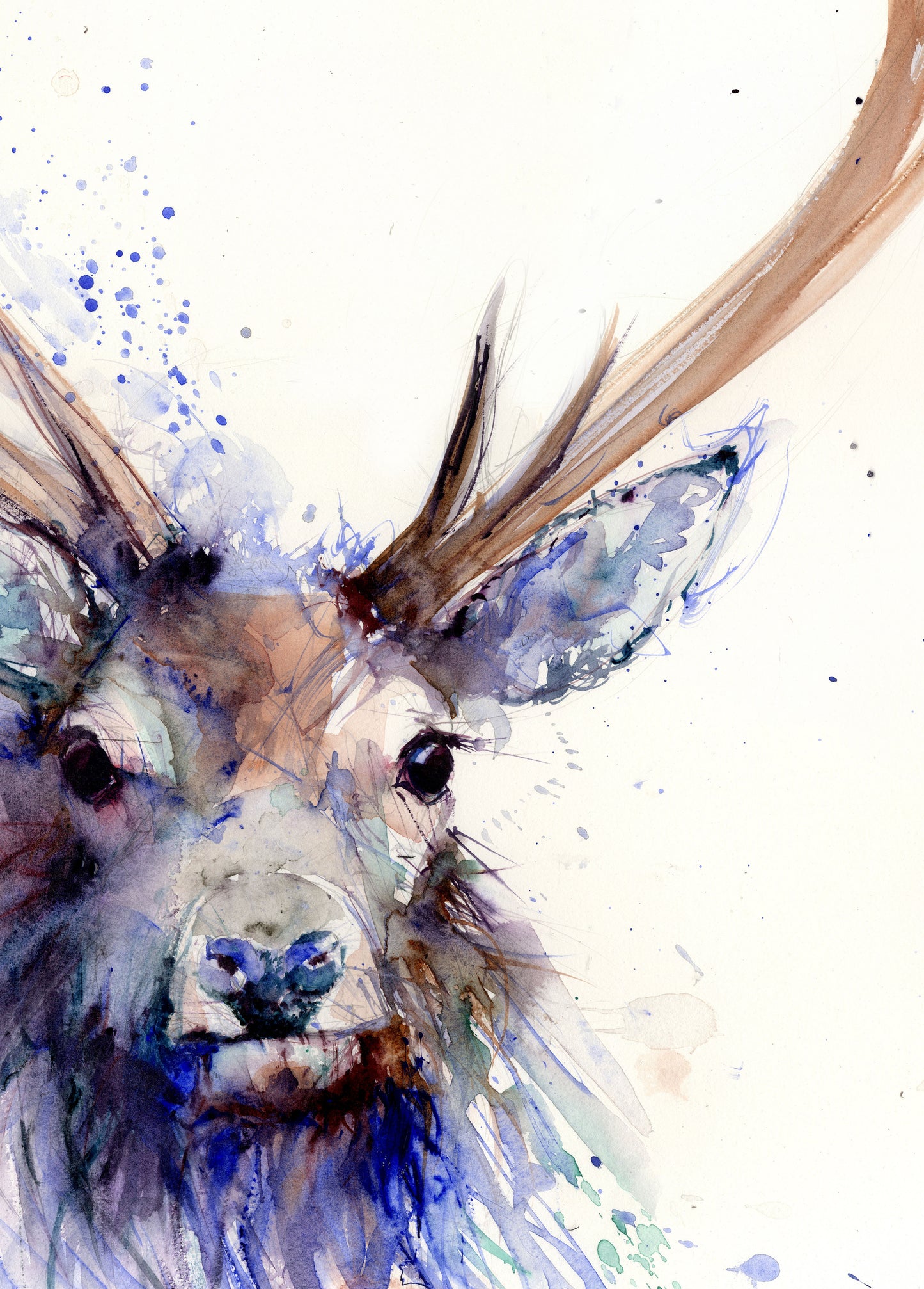 LIMITED EDITION PRINT of original Highland stag painting - Jen Buckley Art limited edition animal art prints
