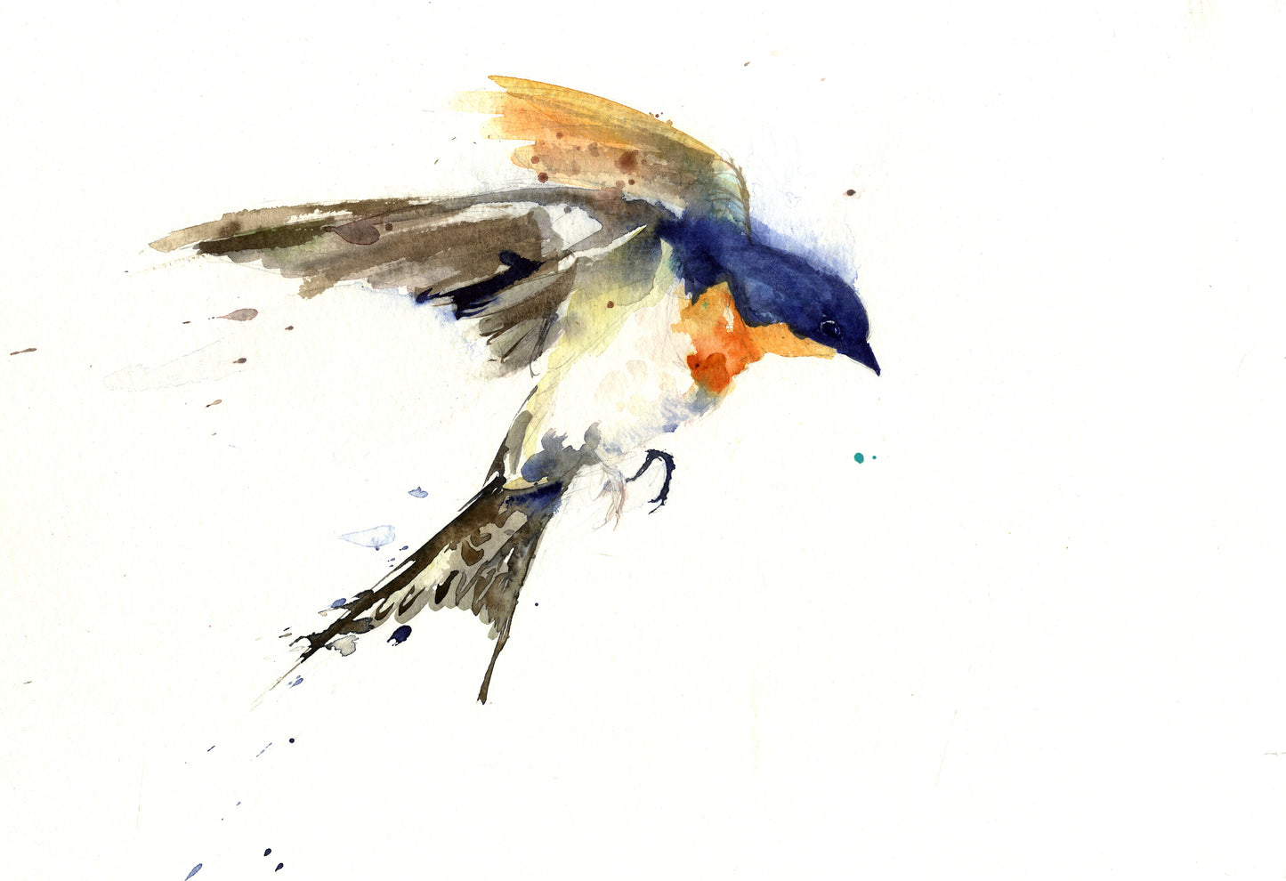 swallow bird print by jen buckley