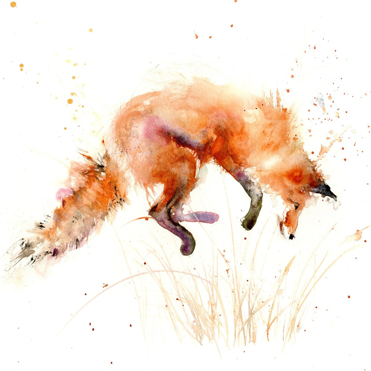 Leaping fox