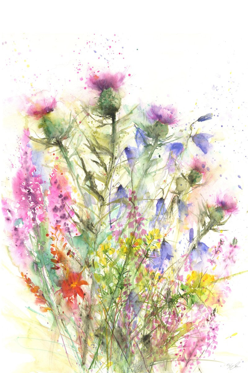 Scottish Wildflowers