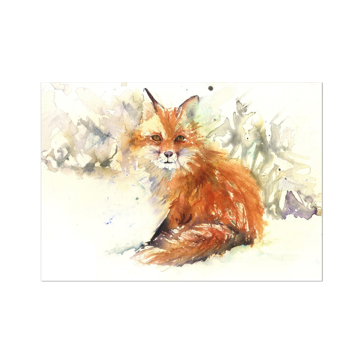 Lucas Fine Art Print - Jen Buckley Art limited edition animal art prints