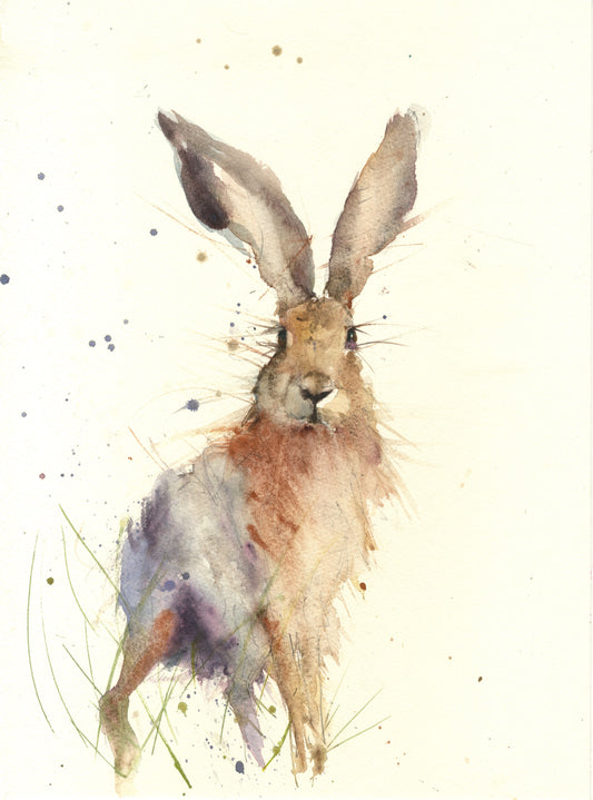 Original watercolour painting hare portrait "Horatio"