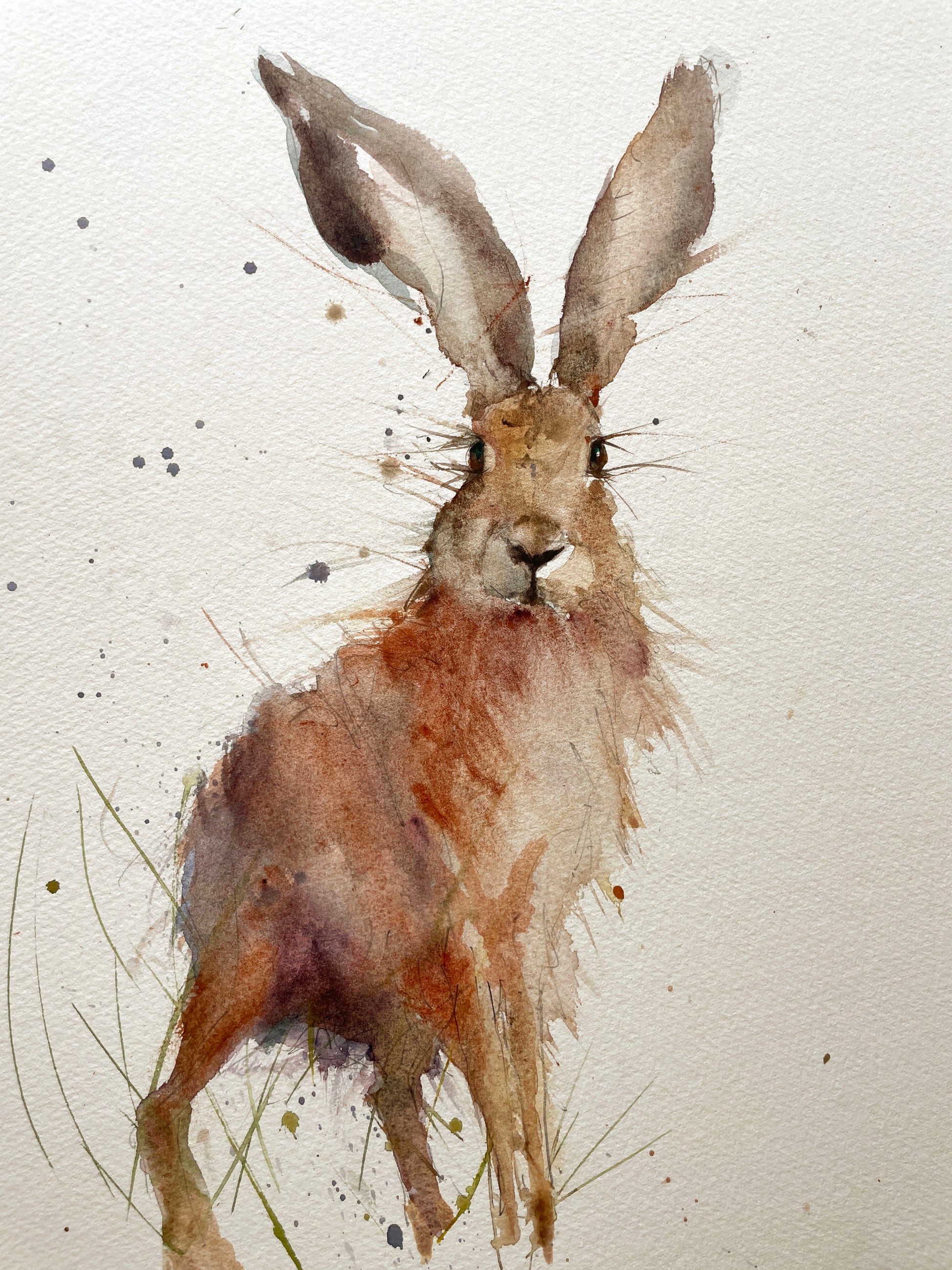 Original watercolour painting hare portrait "Horatio" - Jen Buckley Art limited edition animal art prints