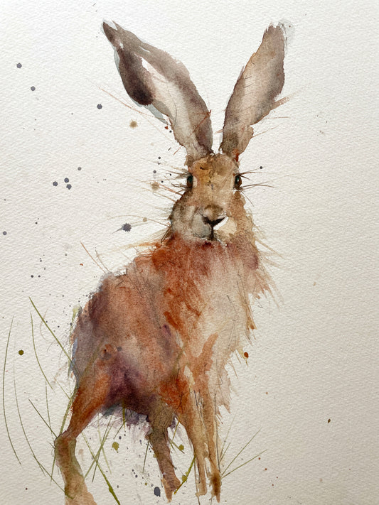 Original watercolour painting hare portrait "Horatio"