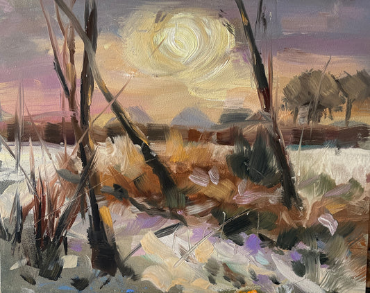 Sunrise after snowfall