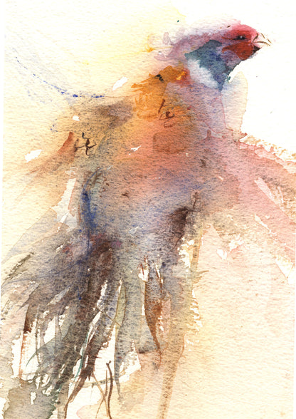 LIMITED EDITON print 'pheasant' from original watercolour painting