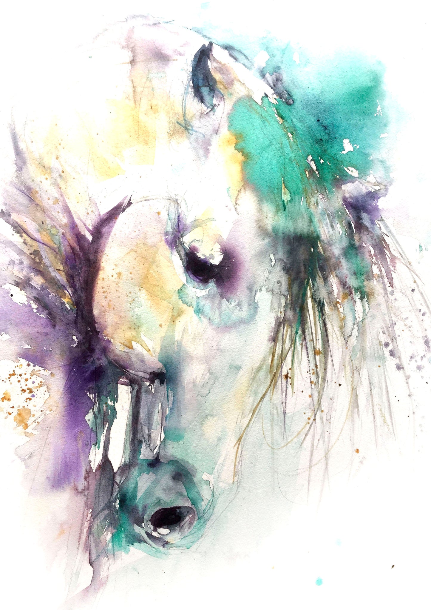 Andalucian horse limited edition print