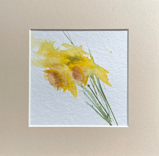 Original daffodil watercolour with mount.