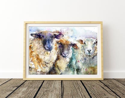 "Three ewes" Limited edition print sheep print