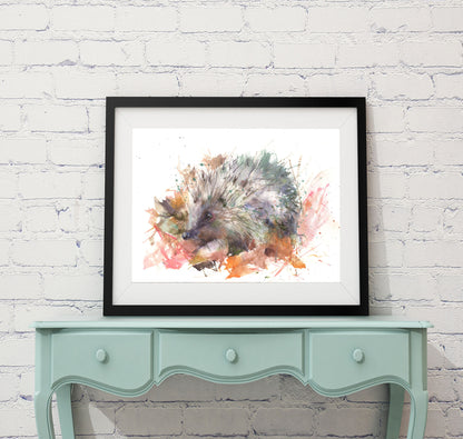 limited edition hedgehog print  "Harold"