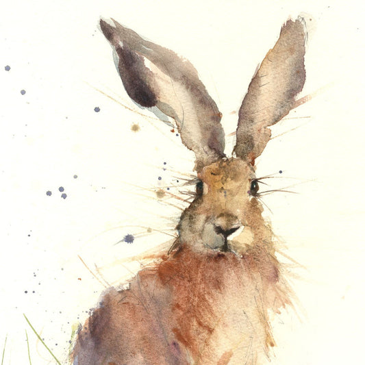 Limited edition hare print 'Horatio"