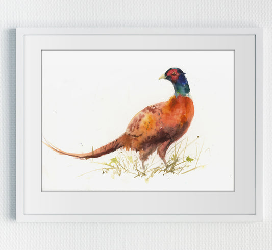 Original watercolour painting posing pheasant