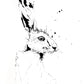 JEN BUCKLEY  signed PRINT of my original HARE indian ink drawing Large A3    - Jen Buckley Art limited edition animal art prints