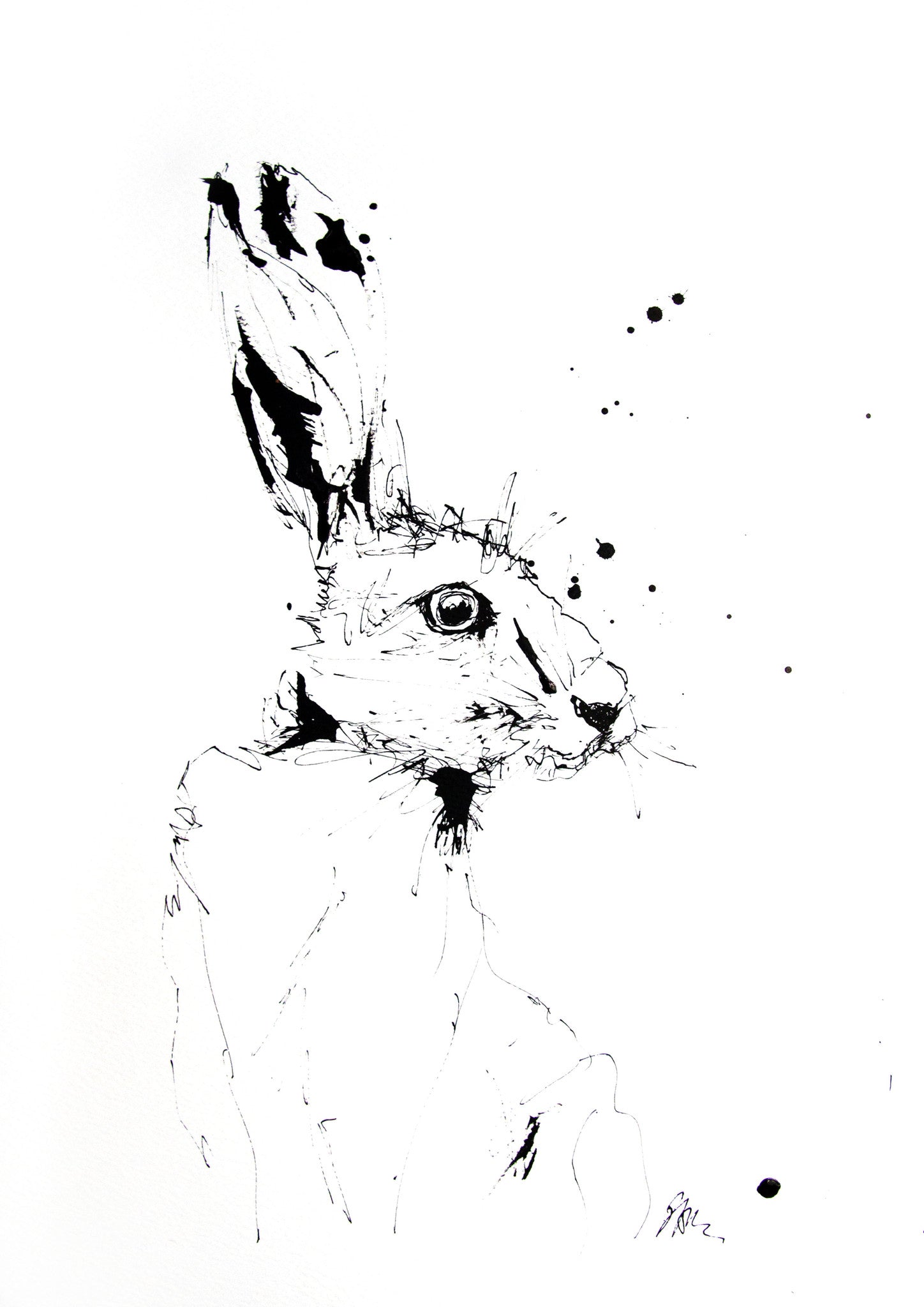 JEN BUCKLEY  signed PRINT of my original HARE indian ink drawing Large A3    - Jen Buckley Art limited edition animal art prints