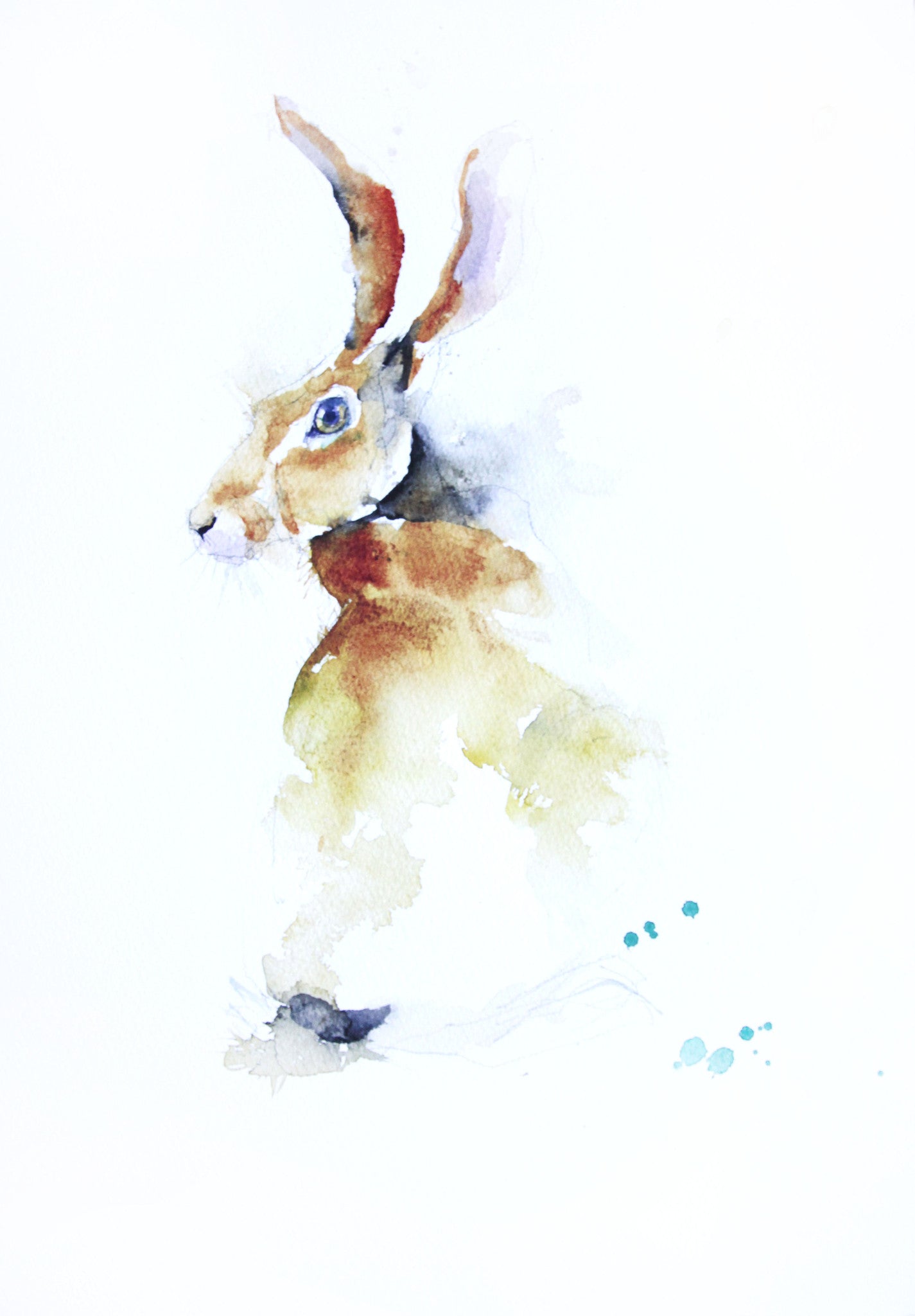 JEN BUCKLEY signed PRINT of my original HARE watercolour painting Large A3   - Jen Buckley Art limited edition animal art prints