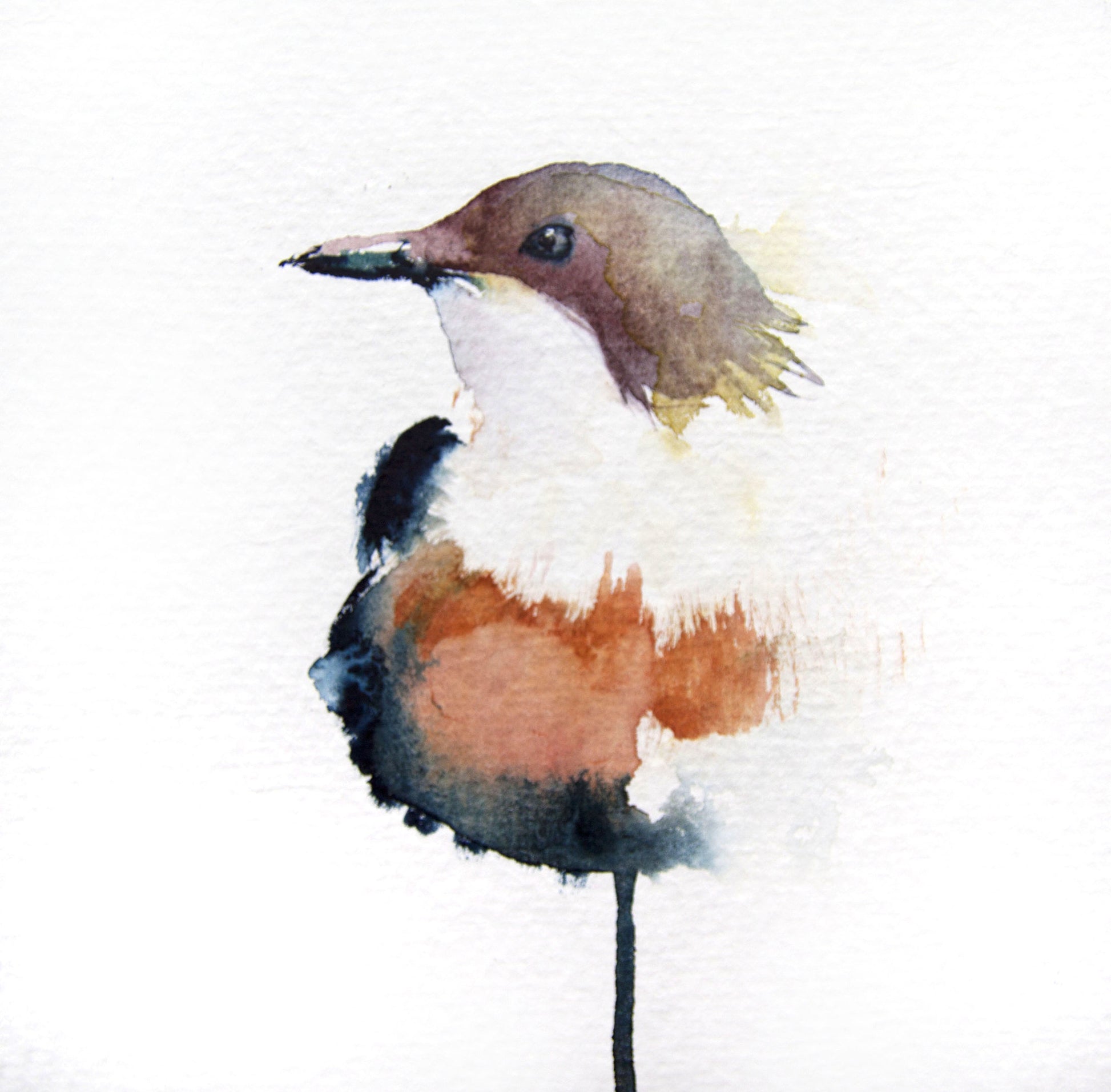 JEN BUCKLEY ART  signed PRINT of my original LITTLE BIRD watercolour 6x6 inch - Jen Buckley Art
 - 1