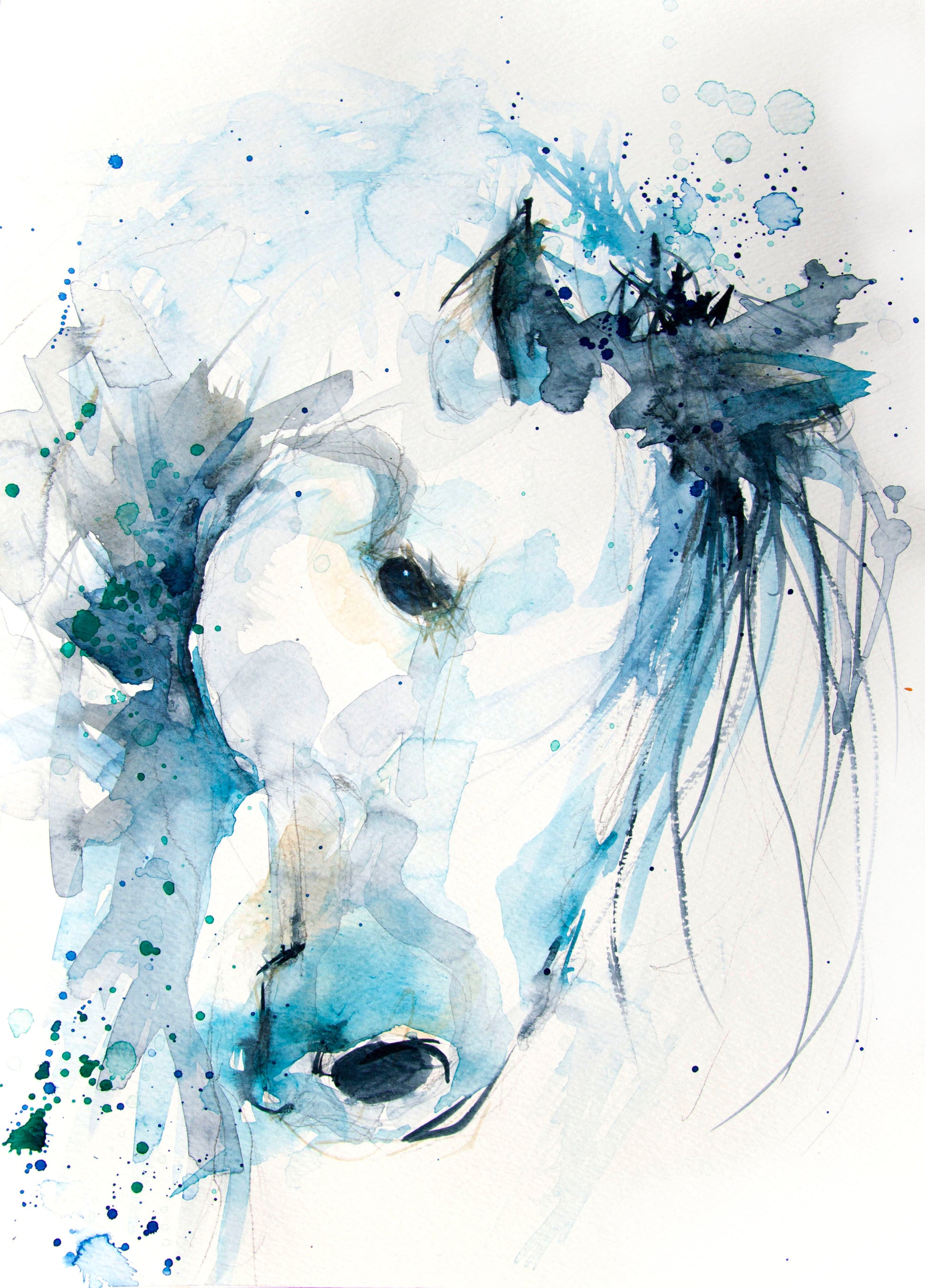 JEN BUCKLEY signed LIMITED EDITION PRINT of my original HORSE watercolour - Jen Buckley Art limited edition animal art prints
