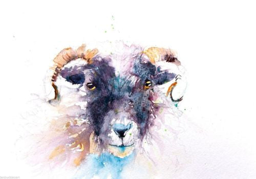 JEN BUCKLEY signed LIMITED EDITON PRINT of my SHEEP watercolour  - Jen Buckley Art limited edition animal art prints