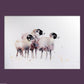 JEN BUCKLEY signed LIMITED EDITON PRINT of my original BLACK FACE SHEEP - Jen Buckley Art
 - 2