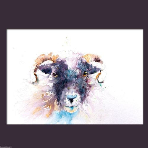 JEN BUCKLEY signed LIMITED EDITON PRINT of my SHEEP watercolour  - Jen Buckley Art limited edition animal art prints