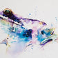 JEN BUCKLEY signed LIMITED EDITION PRINT of my original FROG watercolour - Jen Buckley Art limited edition animal art prints