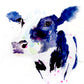 JEN BUCKLEY signed LIMITED EDITON PRINT of my Dairy COW watercolour  - Jen Buckley Art limited edition animal art prints