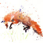 JEN BUCKLEY signed LIMITED EDITON PRINT 'Leaping Red Fox' - Jen Buckley Art limited edition animal art prints