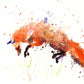 JEN BUCKLEY signed LIMITED EDITON PRINT 'Leaping Red Fox' - Jen Buckley Art limited edition animal art prints