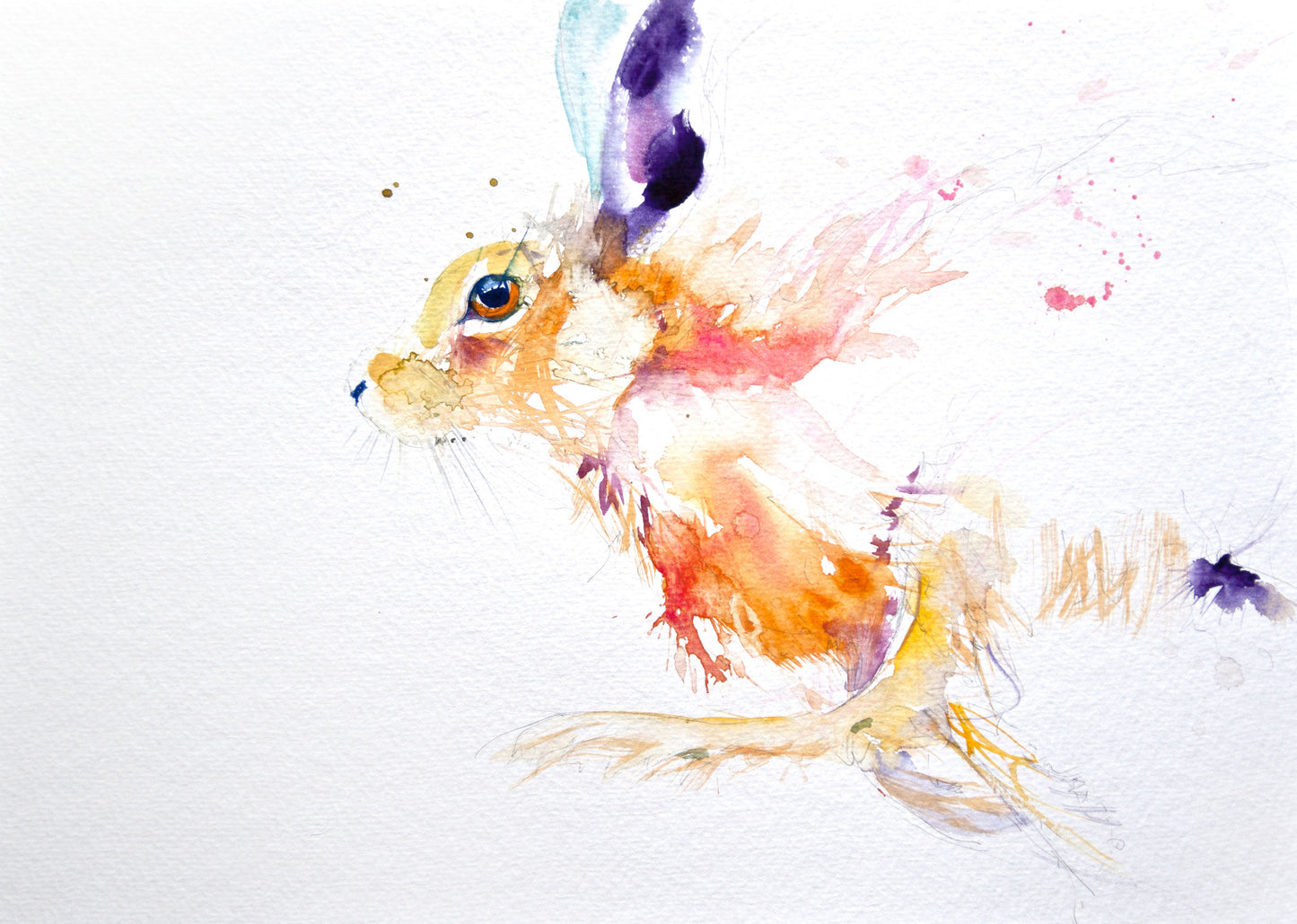 LIMITED EDITON PRINT 'Running Hare' - Jen Buckley Art limited edition animal art prints