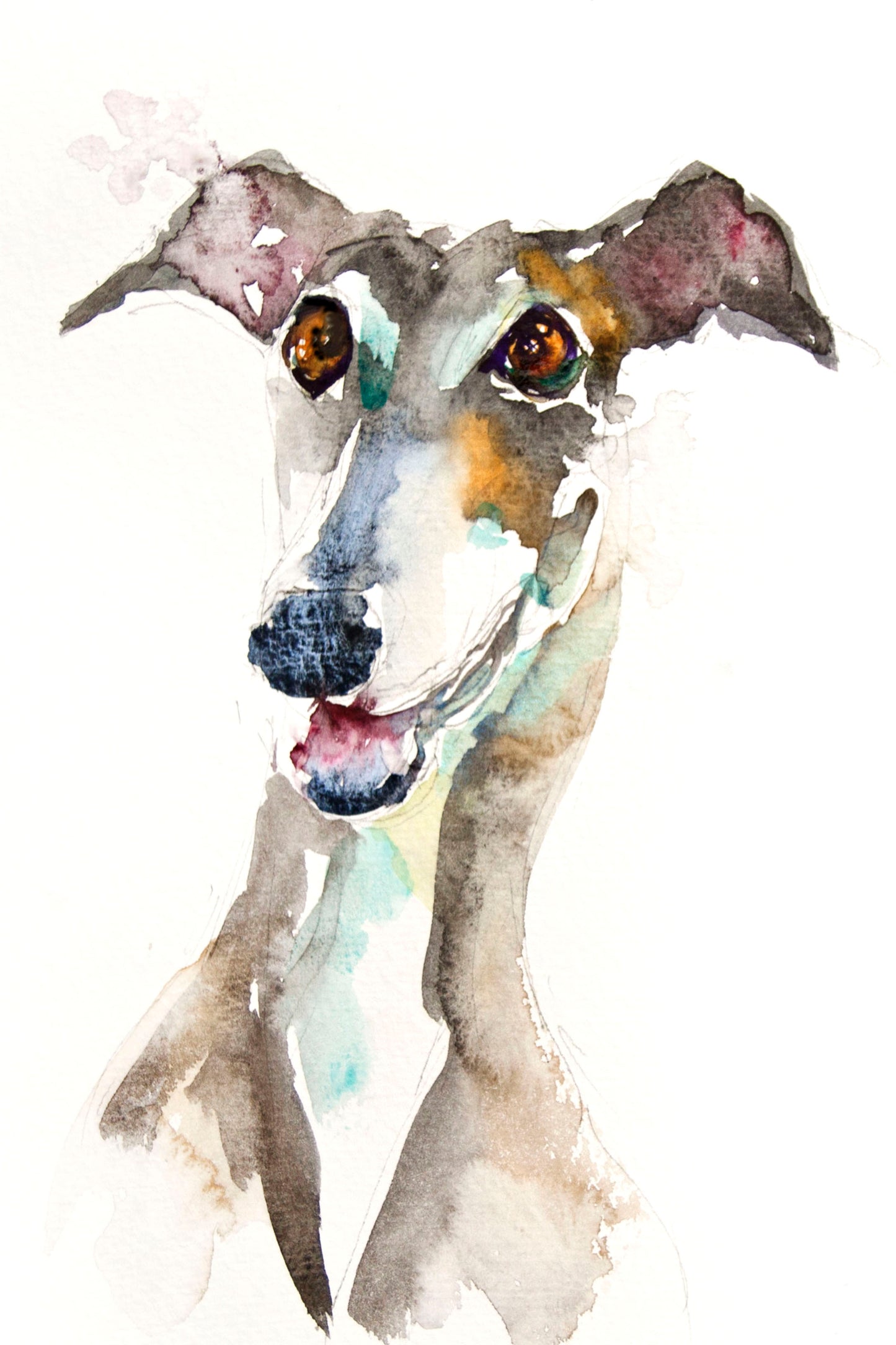 JEN BUCKLEY signed LIMITED EDITON PRINT 'Greyhound' - Jen Buckley Art limited edition animal art prints